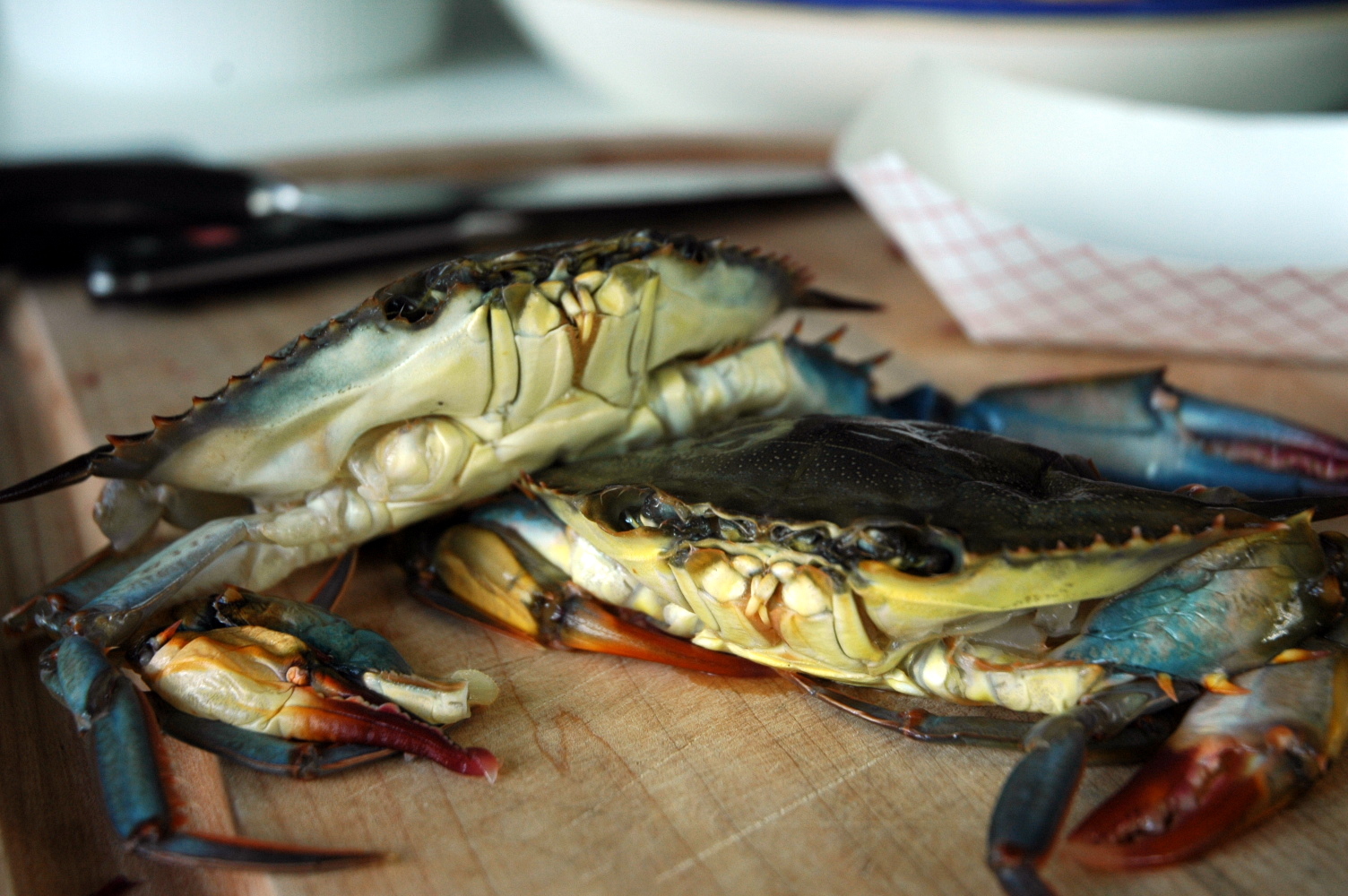 Soft Shell Crab Season Chloe Polemis